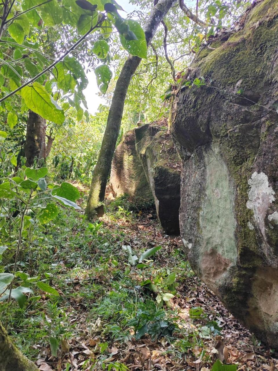 San Juan El Paraiso Escondidoアパートメント エクステリア 写真